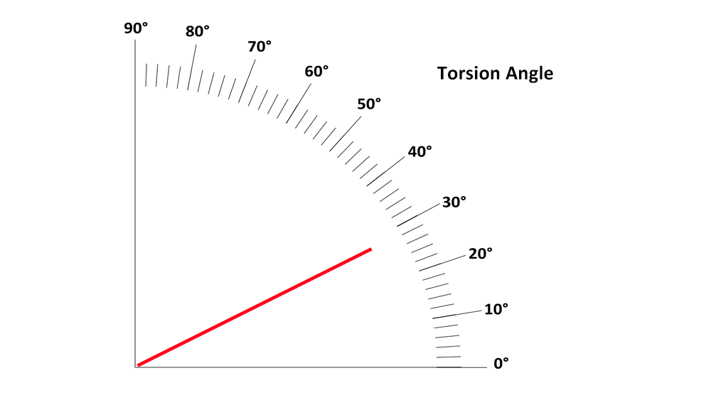 Spring torsional angle adjustable